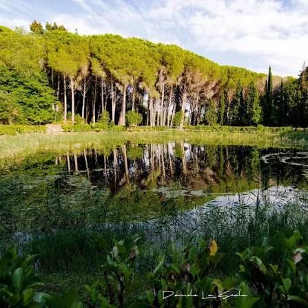 Laghetto circondato da alberi con riflessi sull'acqua