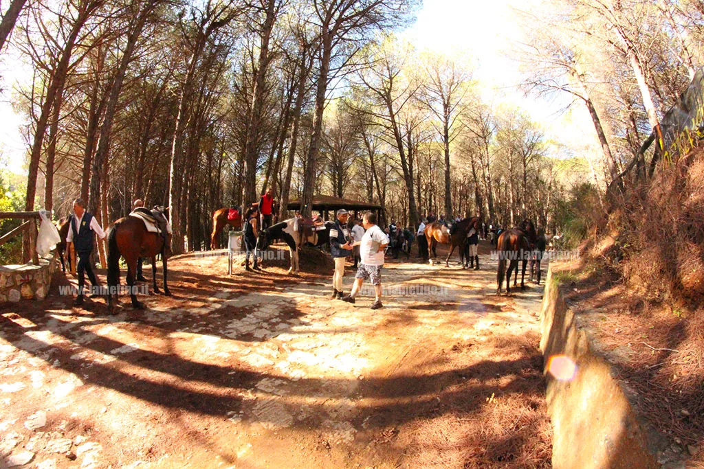 Escursione a cavallo lungo un sentiero nel bosco