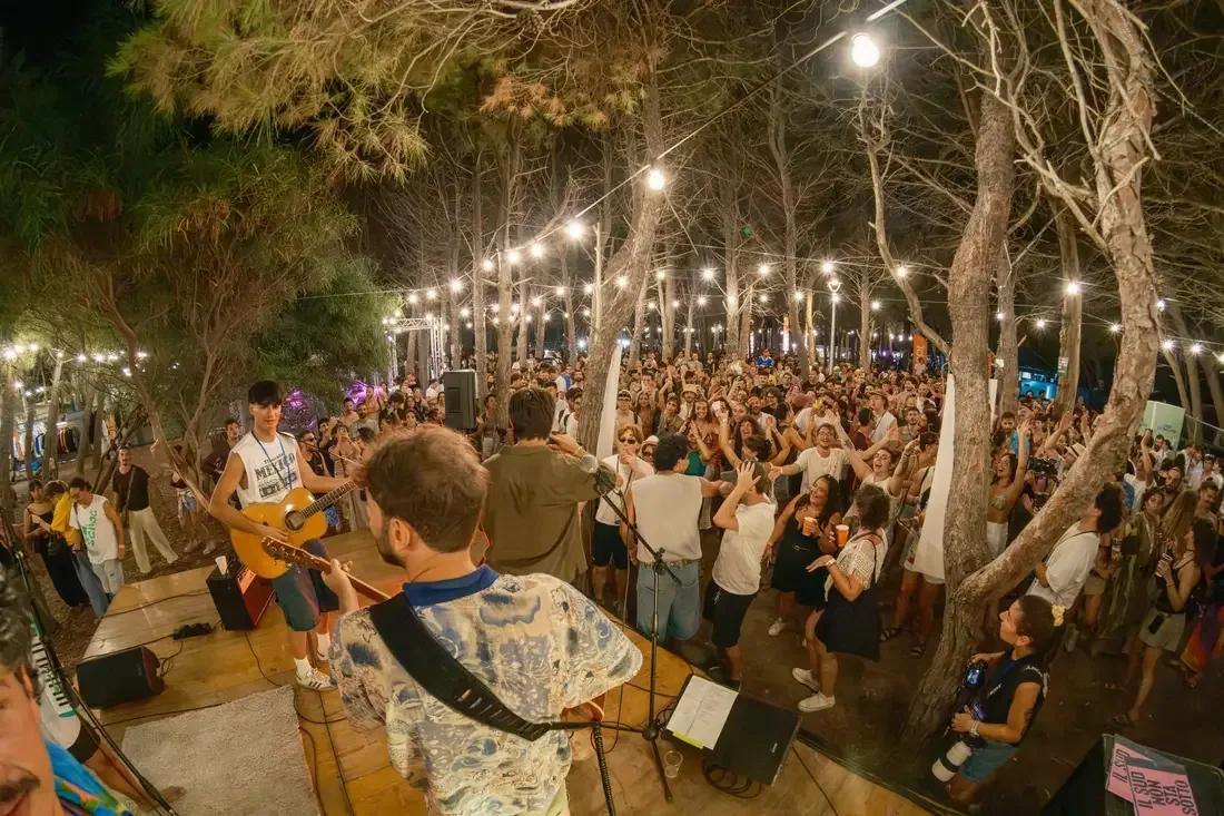 Concerto dal vivo all'aperto con un pubblico numeroso