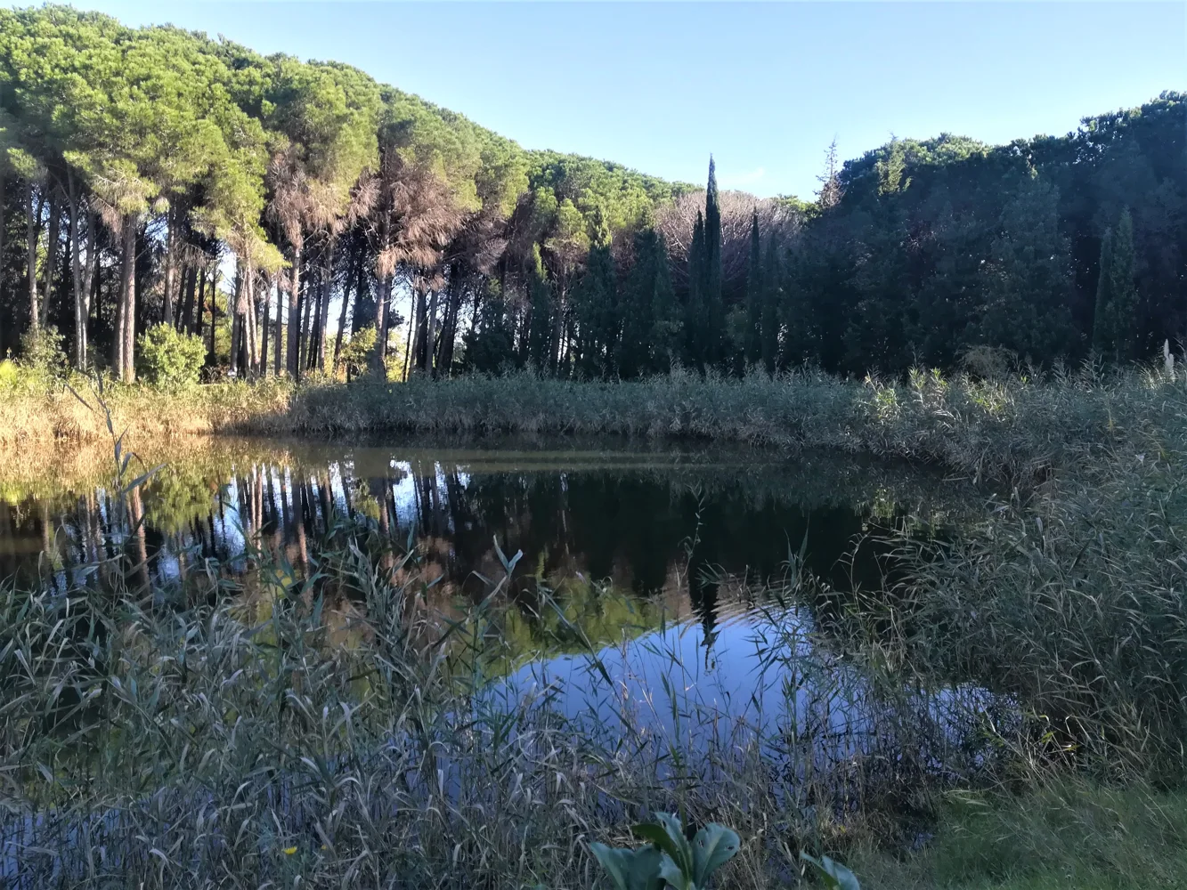 Parco Dossi-Comuni e Giardino Botanico