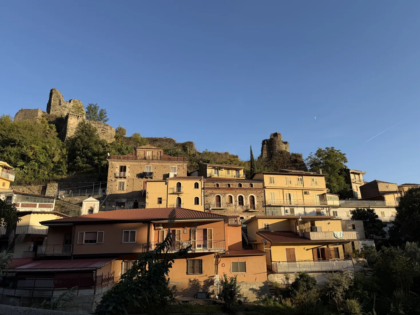 Nicastro